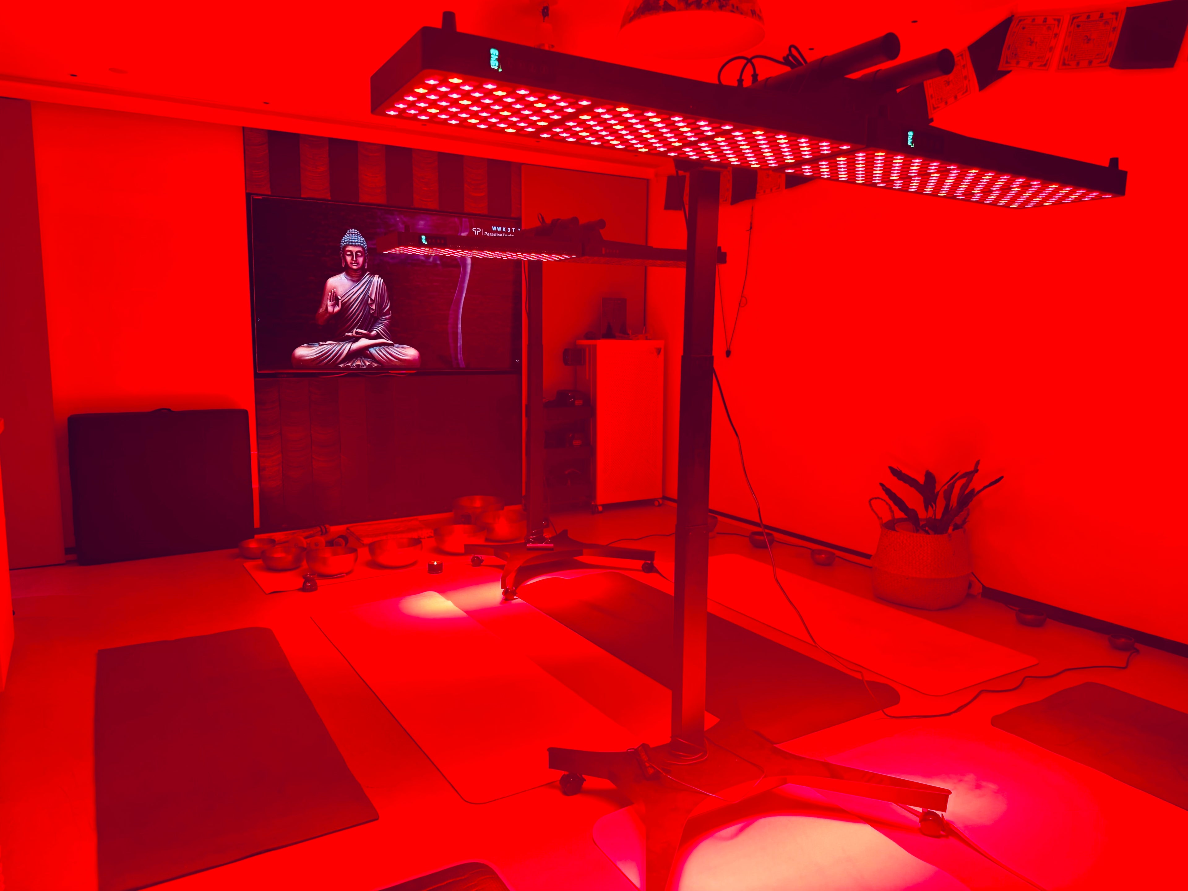 Red Light Therapy Panel with Stand – Model X1500
