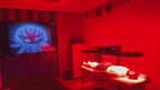 Red Light Therapy Panel with Stand – Model X1500